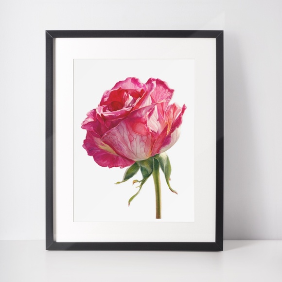 Watercolor Single Pink Rose Wall Art Print, Unframed - Delicate Floral Elegance - Picture 3 of 6